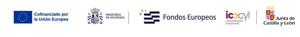Proyecto de digitalización y gestión empresarial cofinanciado por FEDER e ICECYL
